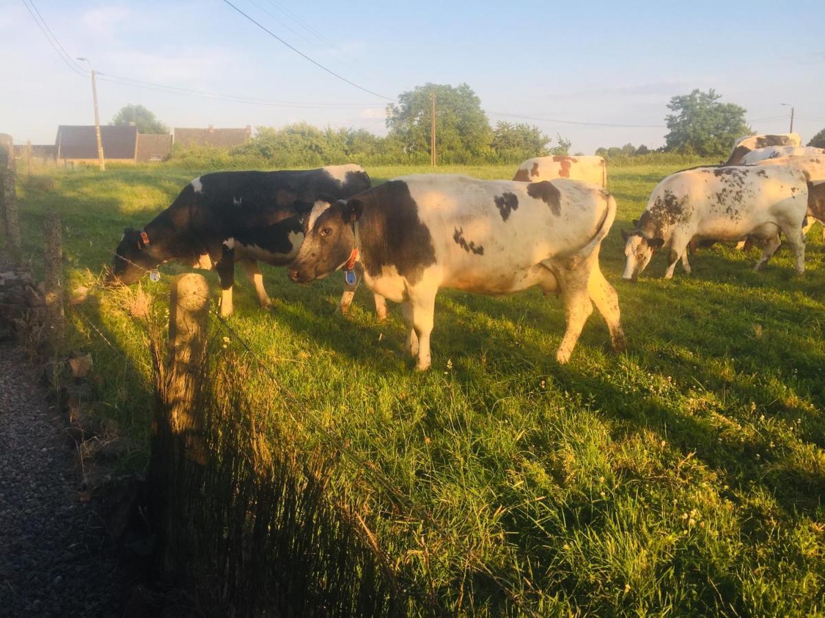 Bed and Breakfast Aux Pieds Des Vaches Charneux Экстерьер фото